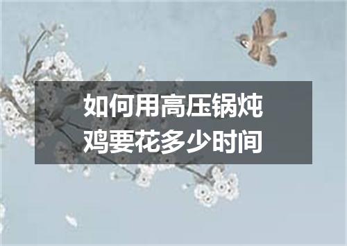 如何用高压锅炖鸡要花多少时间