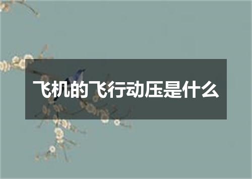 飞机的飞行动压是什么