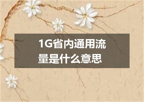 1G省内通用流量是什么意思