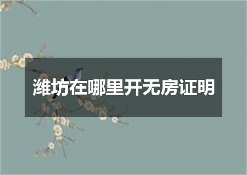 潍坊在哪里开无房证明
