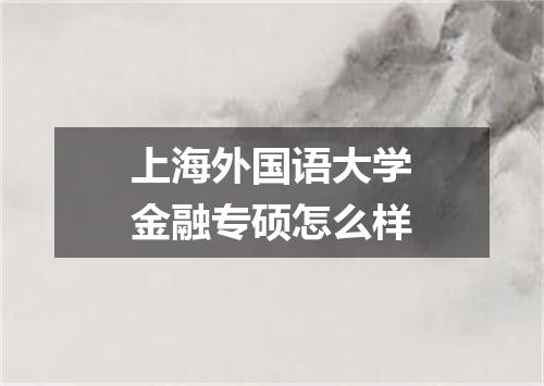 上海外国语大学金融专硕怎么样