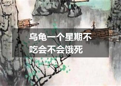乌龟一个星期不吃会不会饿死