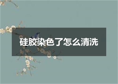 硅胶染色了怎么清洗