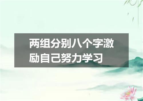 两组分别八个字激励自己努力学习