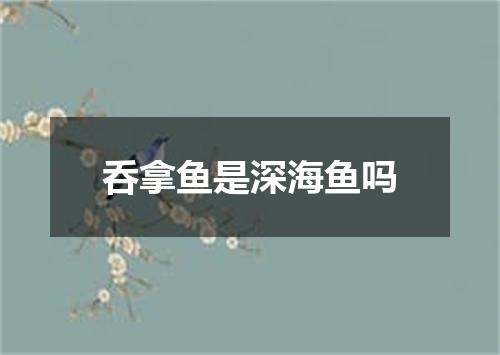 呑拿鱼是深海鱼吗