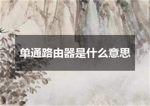 单通路由器是什么意思