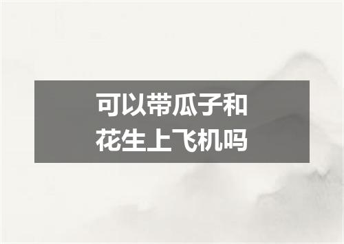 可以带瓜子和花生上飞机吗