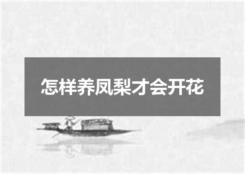 怎样养凤梨才会开花