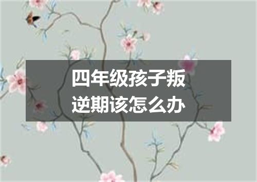 四年级孩子叛逆期该怎么办
