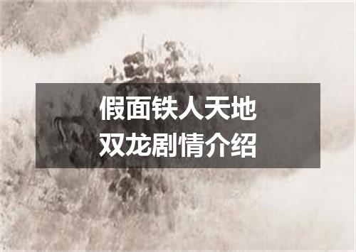 假面铁人天地双龙剧情介绍