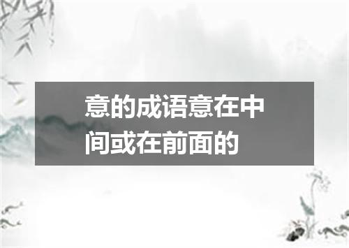 意的成语意在中间或在前面的