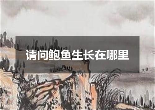 请问鲍鱼生长在哪里