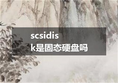 scsidisk是固态硬盘吗