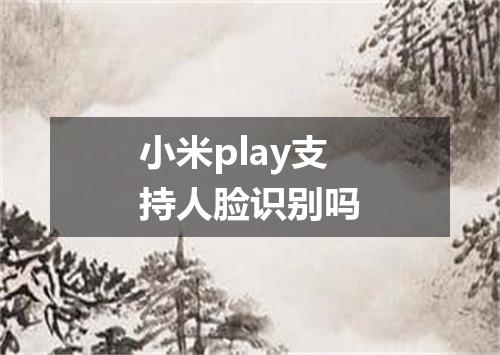 小米play支持人脸识别吗