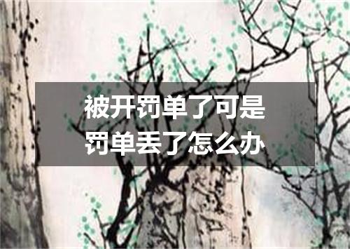 被开罚单了可是罚单丢了怎么办