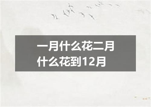 一月什么花二月什么花到12月