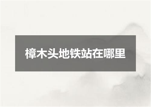 樟木头地铁站在哪里