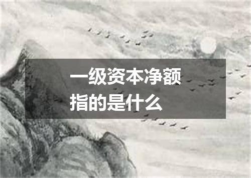 一级资本净额指的是什么