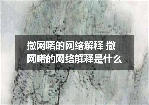 撒网喏的网络解释 撒网喏的网络解释是什么