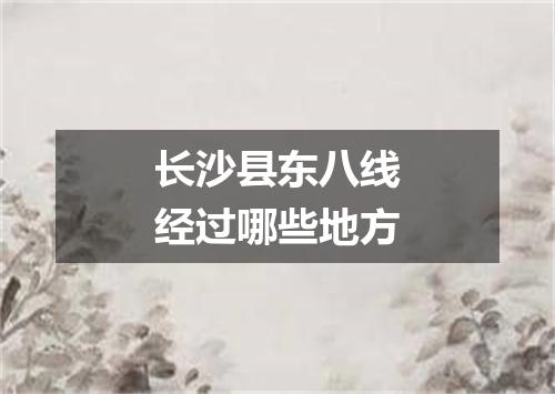 长沙县东八线经过哪些地方