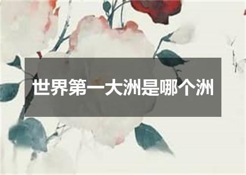 世界第一大洲是哪个洲