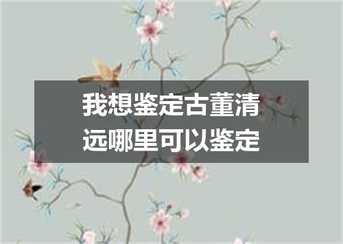 我想鉴定古董清远哪里可以鉴定