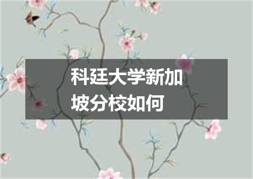 科廷大学新加坡分校如何