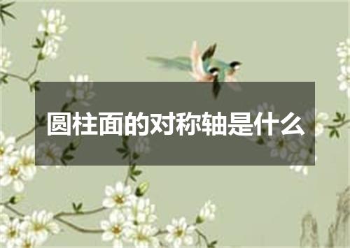 圆柱面的对称轴是什么