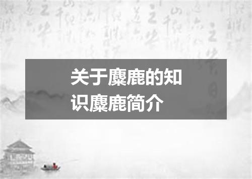关于麋鹿的知识麋鹿简介