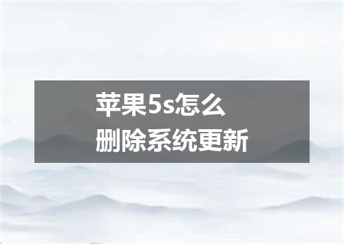 苹果5s怎么删除系统更新