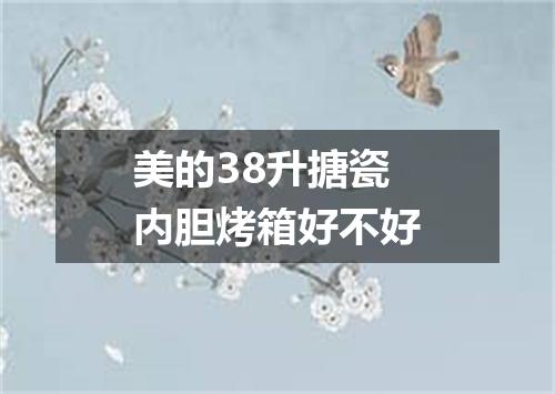 美的38升搪瓷内胆烤箱好不好