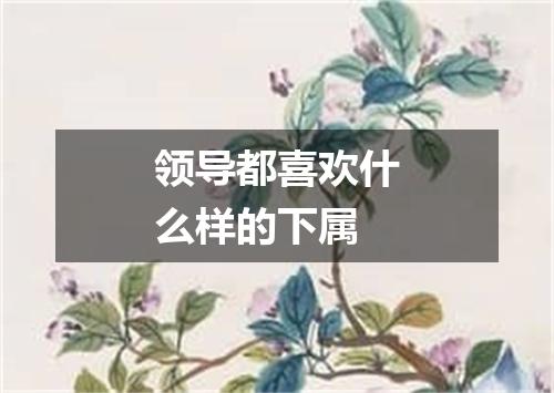领导都喜欢什么样的下属