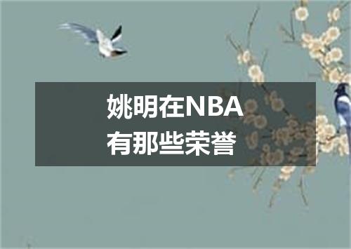 姚明在NBA有那些荣誉