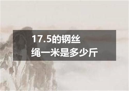 17.5的钢丝绳一米是多少斤