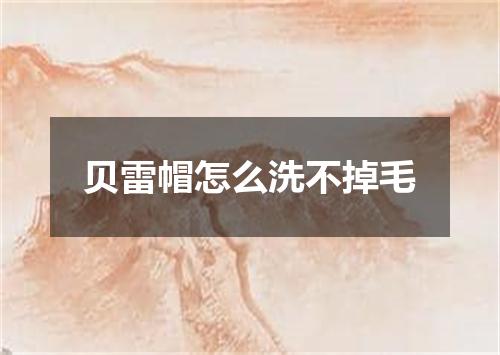 贝雷帽怎么洗不掉毛