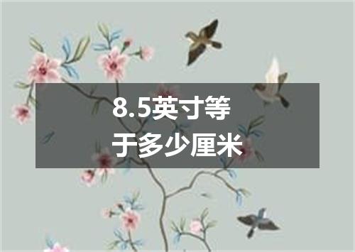 8.5英寸等于多少厘米