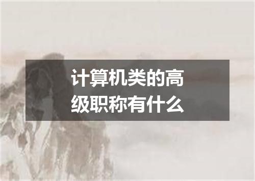 计算机类的高级职称有什么
