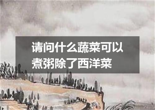 请问什么蔬菜可以煮粥除了西洋菜