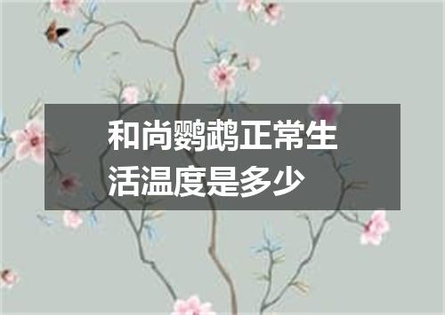 和尚鹦鹉正常生活温度是多少