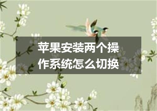苹果安装两个操作系统怎么切换