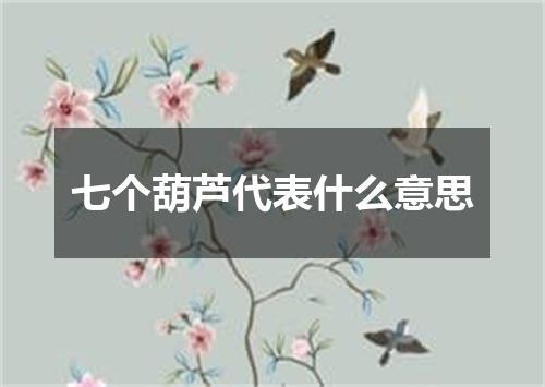 七个葫芦代表什么意思