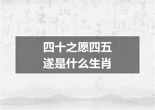 四十之愿四五遂是什么生肖