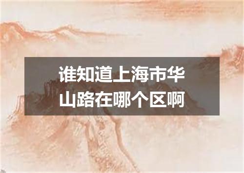 谁知道上海市华山路在哪个区啊