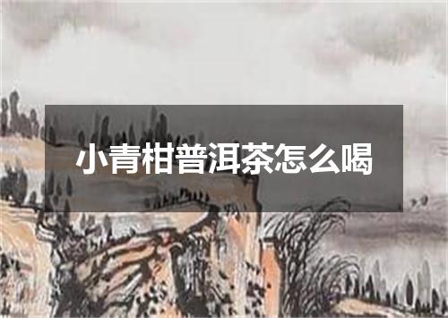 小青柑普洱茶怎么喝
