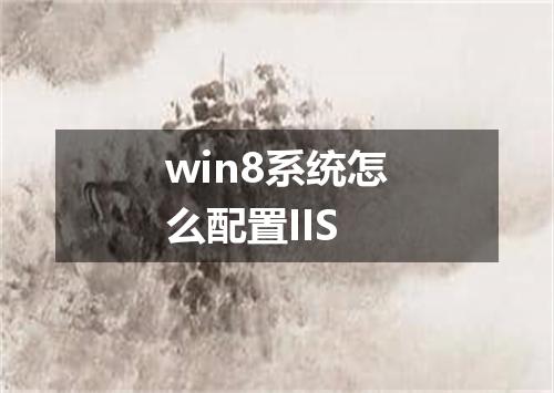win8系统怎么配置IIS