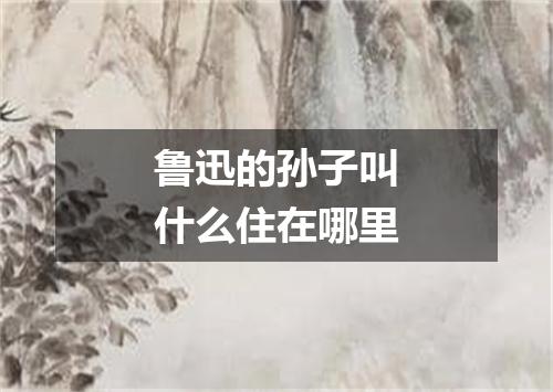 鲁迅的孙子叫什么住在哪里