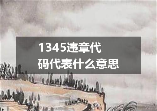 1345违章代码代表什么意思