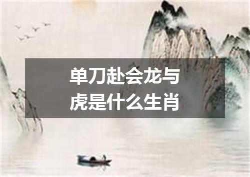 单刀赴会龙与虎是什么生肖