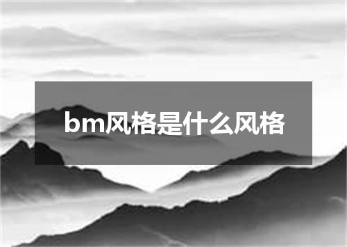 bm风格是什么风格