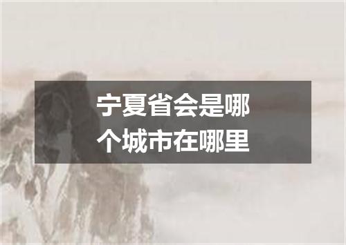 宁夏省会是哪个城市在哪里